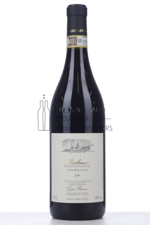 Image de 2009 BARBARESCO OVELLO